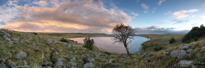 Lac de Saint Andéol et le sorbier